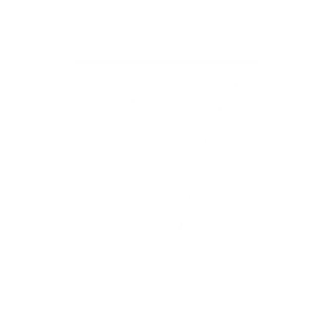 P02 1 S05 icon1