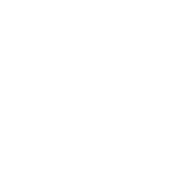 P02 1 S05 icon2
