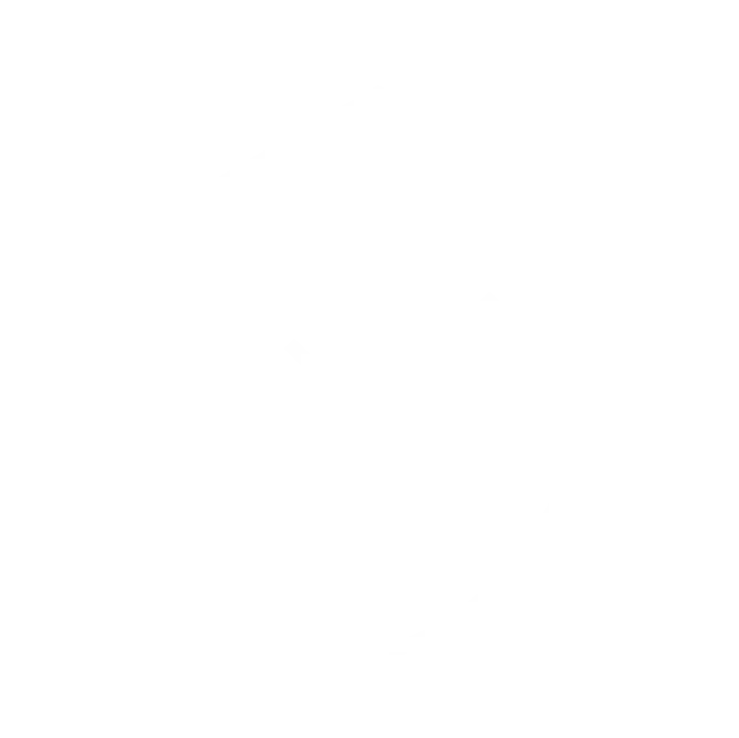 P02 1 S05 icon3