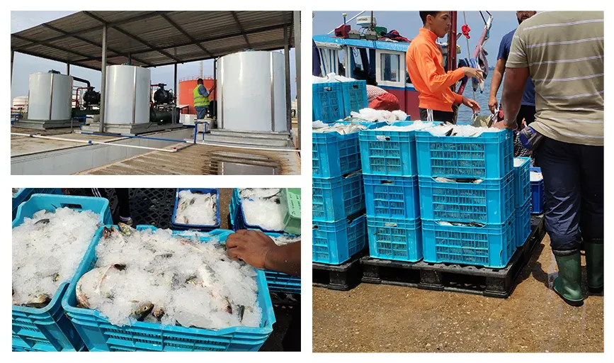 Flake ice machine case in Angola