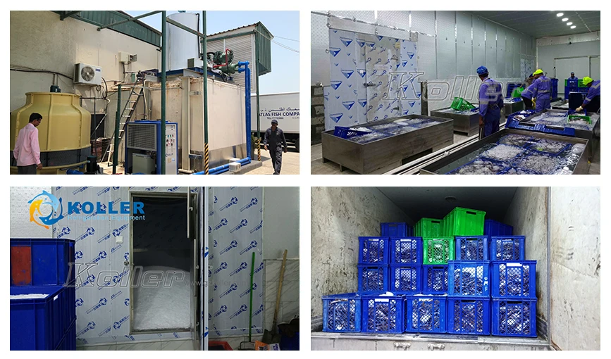 Ice flake machine case in Bahrain