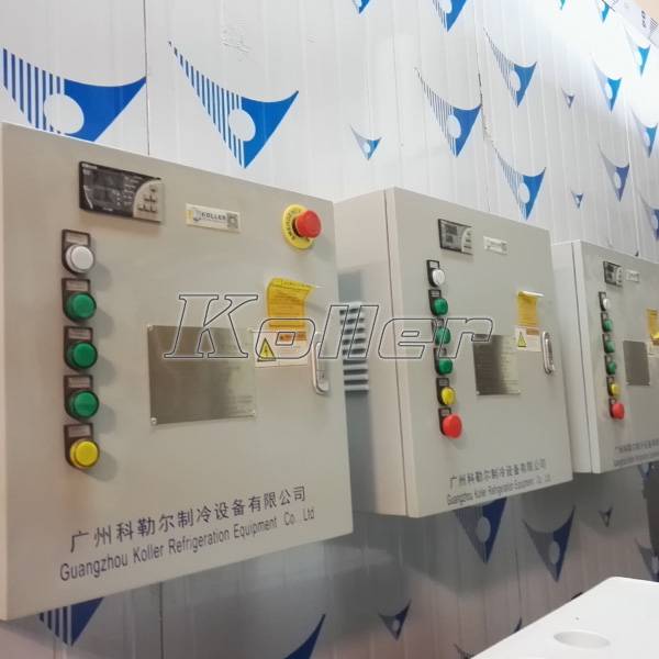 cold room electrical controller