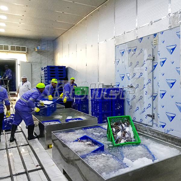 cold room for seafood processing 