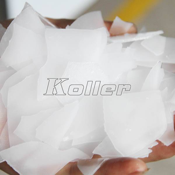 scale ice