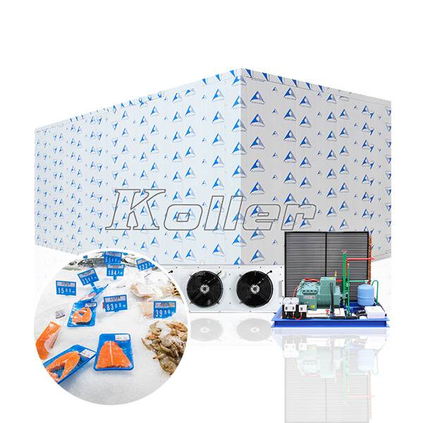 Blast freezer room for food processing