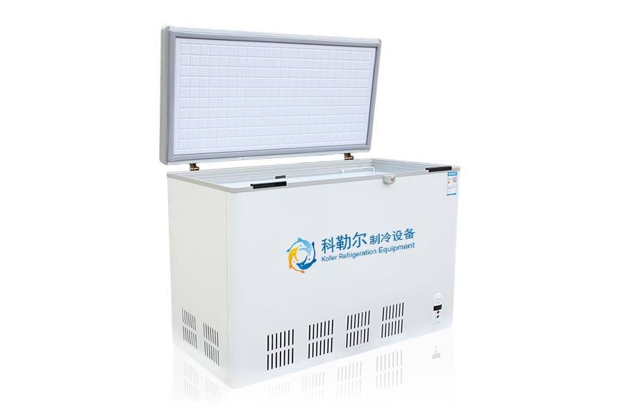 deep freezer for ice cream BD 321