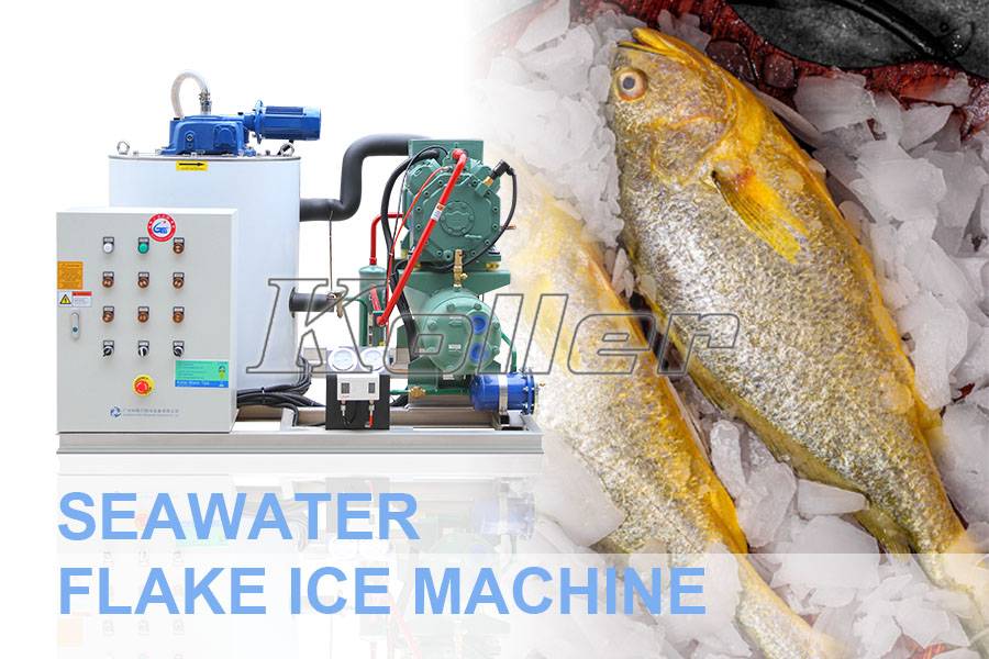 Plate Ice Machine