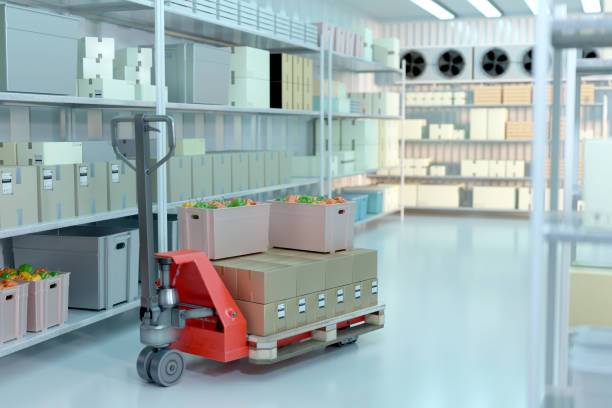 Refrigeration chamber for food storage 3d image