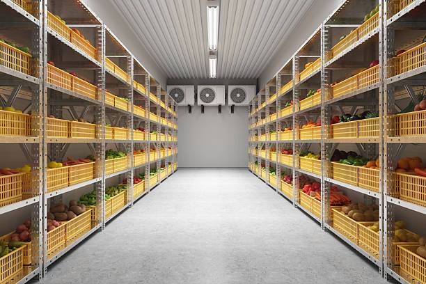 Fresh vegetables cooled after harvest