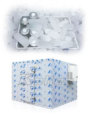 P01 S05 Pharmacy Laboratory